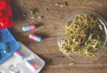 CBD como antidepresivo, un camino con potencial terapéutico