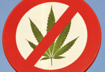 Cannabis medicinal: la prohibición y el inicio del estigma