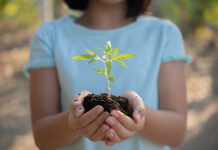 Cannabis en pediatría: “Hay potencial terapéutico en un montón de plantas que no estamos aprovechando”