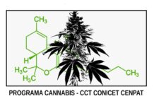 «Buscamos el rango de dosis con la planta completa»